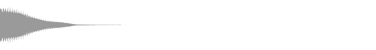 RAVE SHOT 19 waveform