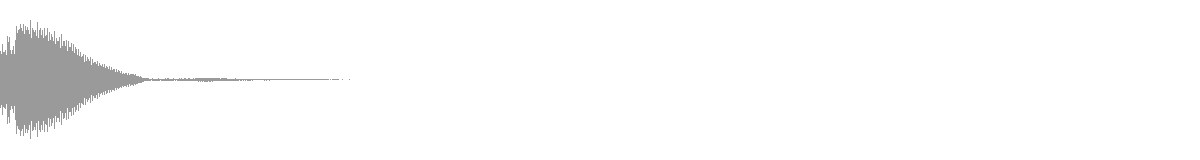 RAVE SHOT 21 waveform
