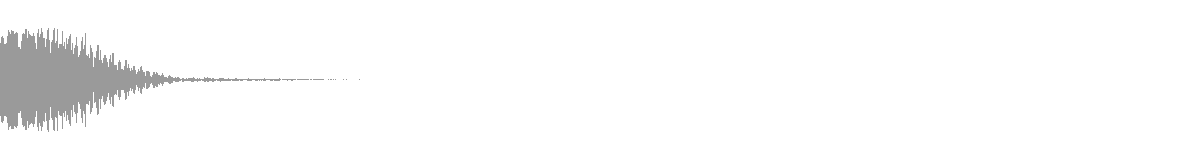 RAVE SHOT 22 waveform