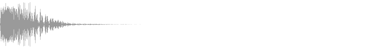 RAVE SHOT 30 waveform